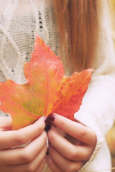 Доброго утра Хорошего дня Спокойной ночи  - 1598979504.jpg