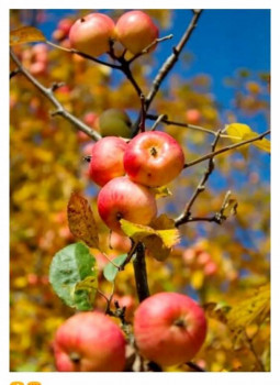 Доброго утра Хорошего дня Спокойной ночи  - IMG_20201002_221307.jpg