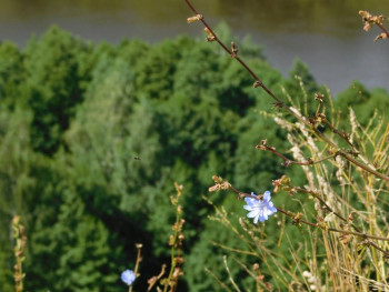 Доброго утра Хорошего дня Спокойной ночи  - UswA4w7Ojbg.jpg
