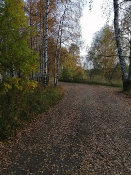 Чем сегодня занимались - IMG_20201003_170715.jpg