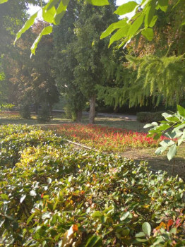 Чем сегодня занимались - IMG_20201003_144759_1.jpg