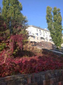 Чем сегодня занимались - IMG_20201003_150310.jpg