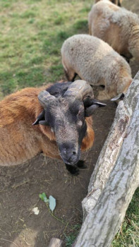 Наша техподдрежка. Телефоны, смартфоны, плантшеты, компьютеры.. - IMG_20201004_120239.jpg