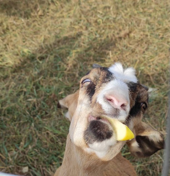 Наша техподдрежка. Телефоны, смартфоны, плантшеты, компьютеры.. - IMG_20201004_152915.jpg