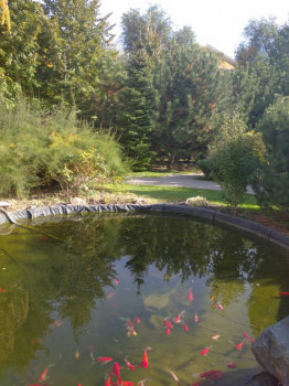 Поговорим о погоде - IMG_20201011_110709_1.jpg