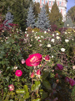 Поговорим о погоде - IMG_20201011_105758_1.jpg