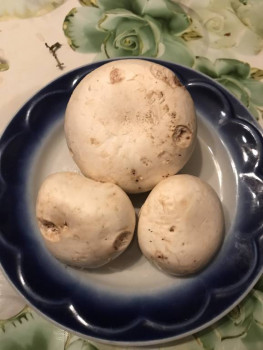 Рецептик дня -4 - 31271EF6-80B2-4333-B315-A6040D387E6C.jpeg