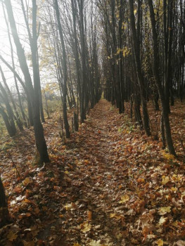 Чем сегодня занимались - IMG_20201011_102916.jpg