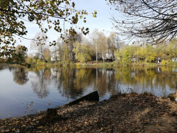 Чем сегодня занимались - IMG_20201011_103609.jpg