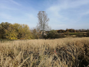 Чем сегодня занимались - IMG_20201011_111800.jpg