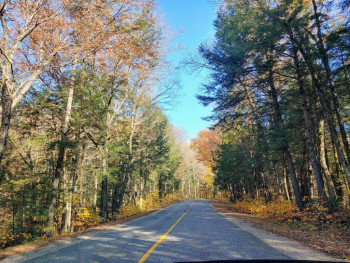 Чем сегодня занимались - 20201012_101457_HDR~2.jpg