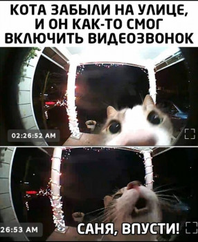 Из ВКонтактика с приветиком  - IMG_20201005_203011.jpg