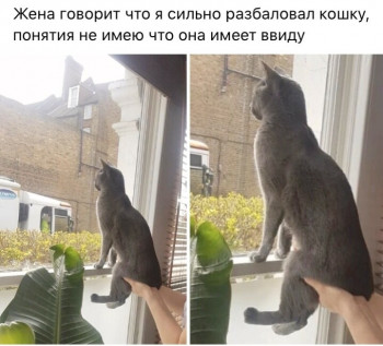 Из ВКонтактика с приветиком  - IMG_20201005_202730.jpg