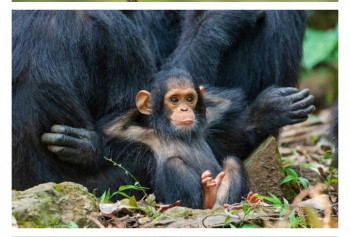 В мире животных фото, видео  - IMG_20201003_202855.jpg