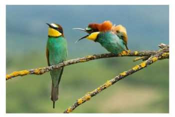 Как эмоционально )))