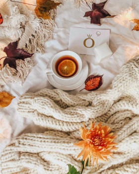 Доброго утра Хорошего дня Спокойной ночи  - 0b2ed92a16a10f42a6ee9f2afb2db37d.jpg