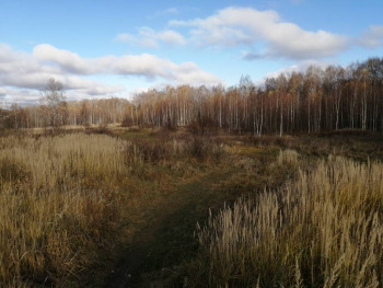 Чем сегодня занимались - IMG_20201101_112154.jpg