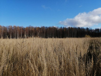 Чем сегодня занимались - IMG_20201101_112304.jpg