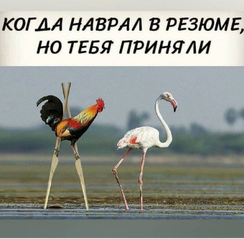 Из ВКонтактика с приветиком  - 1604306571.jpg