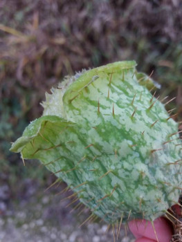 Чем сегодня занимались - 20201103_143859.jpg