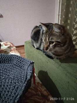 Вязание крючком - IMG_20201107_212641.jpg