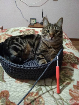 Вязание крючком - IMG_20201107_232027.jpg