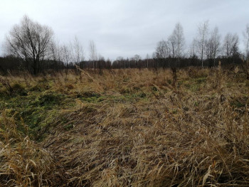 Чем сегодня занимались - IMG_20201108_103839.jpg