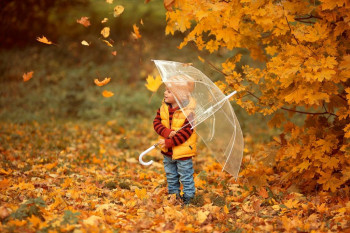 Доброго утра Хорошего дня Спокойной ночи  - 482a9veb301.jpg