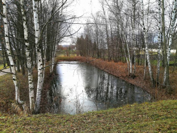 Чем сегодня занимались - IMG_20201113_221904.jpg