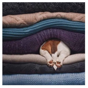 Доброго утра Хорошего дня Спокойной ночи  - IMG_20201102_160501.jpg