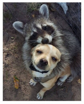 Доброго утра Хорошего дня Спокойной ночи  - IMG_20201114_113707.jpg