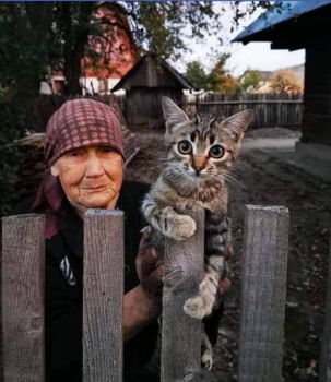 Поэзия - FB_IMG_1605346337413.jpg