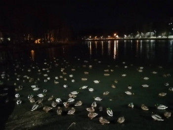 Чем сегодня занимались - IMG_20201116_182824.jpg