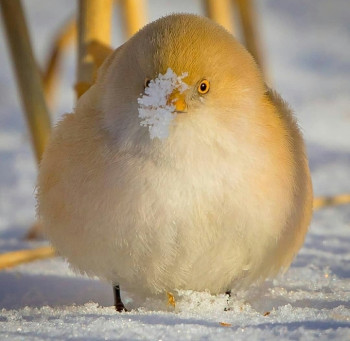 Доброго утра Хорошего дня Спокойной ночи  - IMG_20201105_112418.jpg