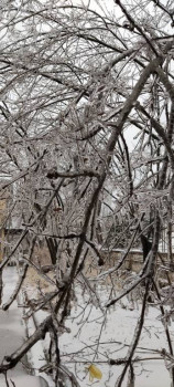 Поговорим о погоде - IMG_20201119_095356.jpg