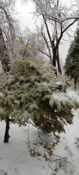 Поговорим о погоде - IMG_20201119_095510.jpg