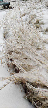 Поговорим о погоде - IMG_20201119_095541.jpg