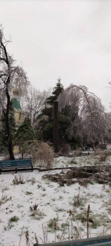 Поговорим о погоде - IMG_20201119_095600.jpg