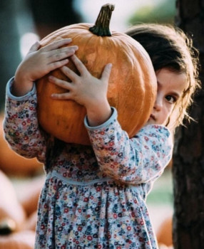Доброго утра Хорошего дня Спокойной ночи  - 1601098700.jpg