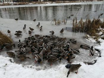 Чем сегодня занимались - IMG_20201124_133942.jpg