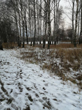 Чем сегодня занимались - 1606213700595.jpg