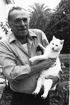 Все о кошках - 154227477_Bukowski.jpg