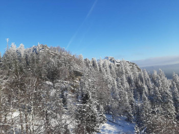 Чем сегодня занимались - 20201205_142823.jpg