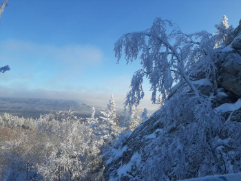 Чем сегодня занимались - 20201205_141621.jpg