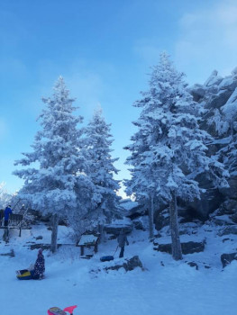 Чем сегодня занимались - 20201205_141251.jpg