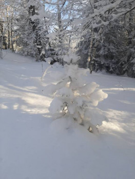 Чем сегодня занимались - 20201205_140546.jpg