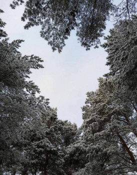 Чем сегодня занимались - 20201206_074428.jpg