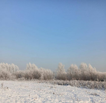 Чем сегодня занимались - 20201206_074412.jpg