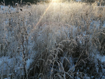 Чем сегодня занимались - IMG_20201209_095502.jpg