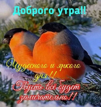 Доброго утра Хорошего дня Спокойной ночи  - 2020-12-11-10-08-11.jpg